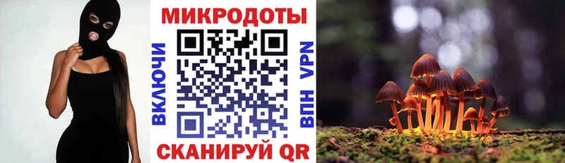 ОМГ ОМГ зеркало наркотики Стародуб Галлюциногенные грибы MAGIC MUSHROOMS